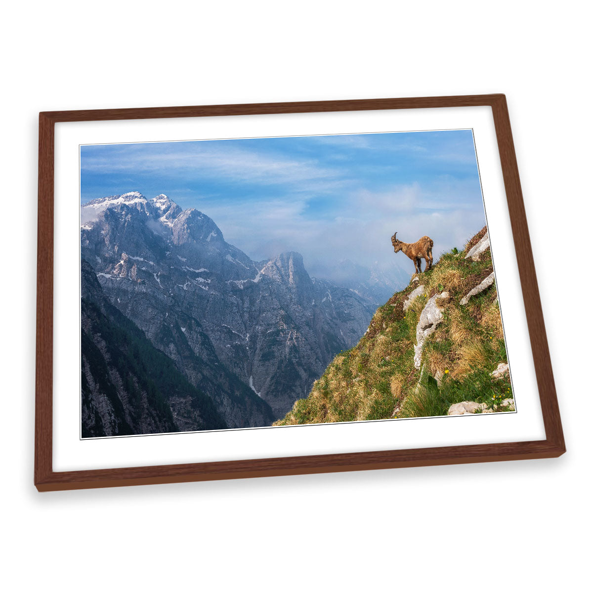 Alpine Ibex in the Mountains Goat FRAMED ART PRINT Picture Artwork