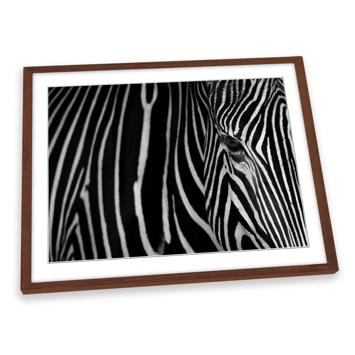Zebra Stripes Animal FRAMED ART PRINT Picture Artwork