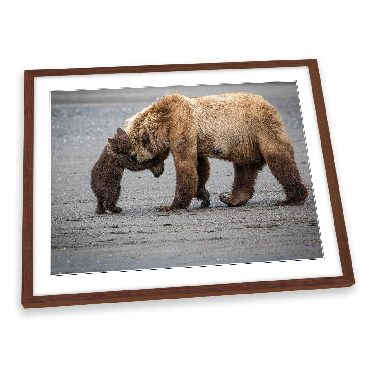 A Little Bear Hug Family Love FRAMED ART PRINT Picture Artwork