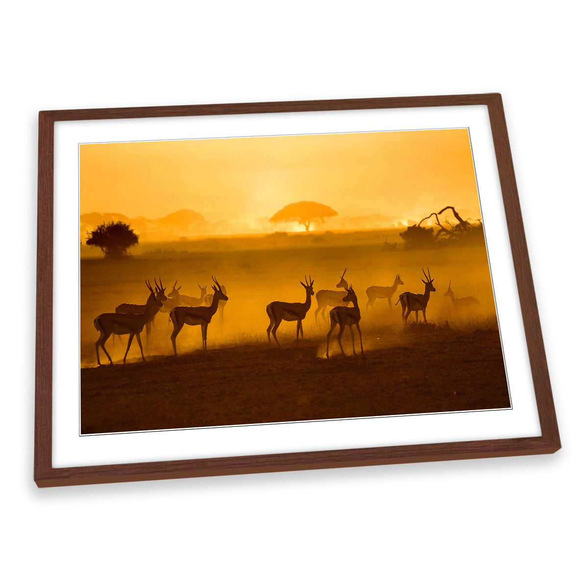 African Wildlife Sunset Nature Orange FRAMED ART PRINT Picture Artwork