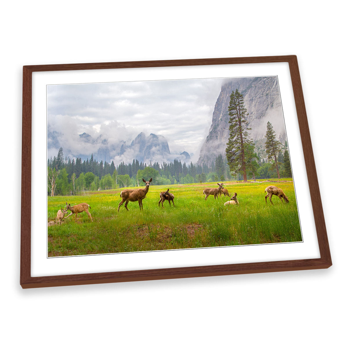 A Feeling of Ancient Time Deer Wildlife FRAMED ART PRINT Picture Artwork
