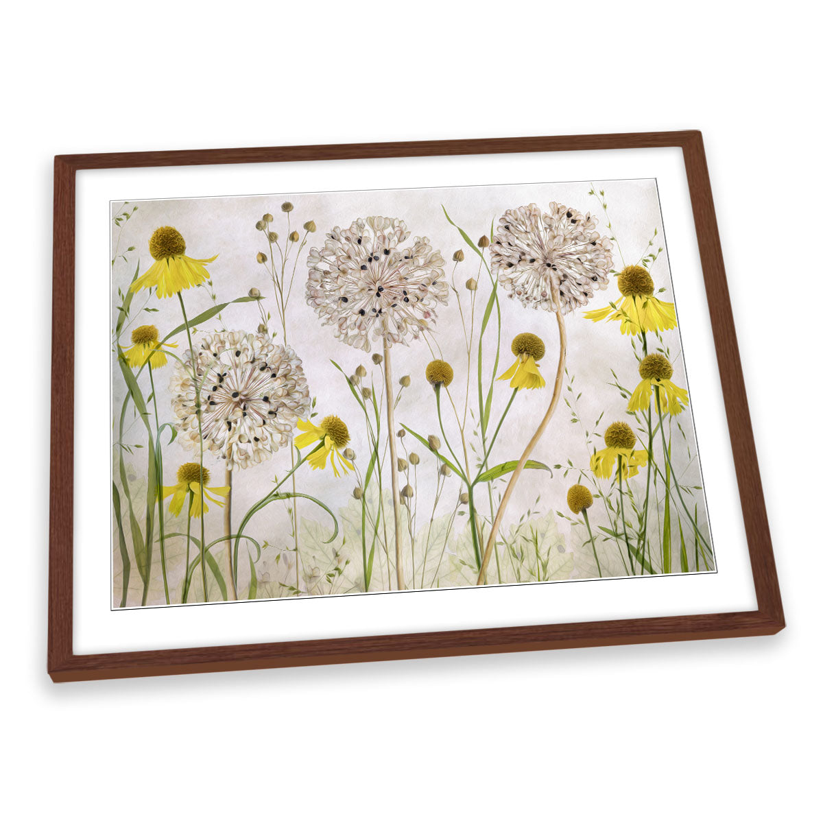 Alliums and Heleniums Floral Flowers FRAMED ART PRINT Picture Artwork