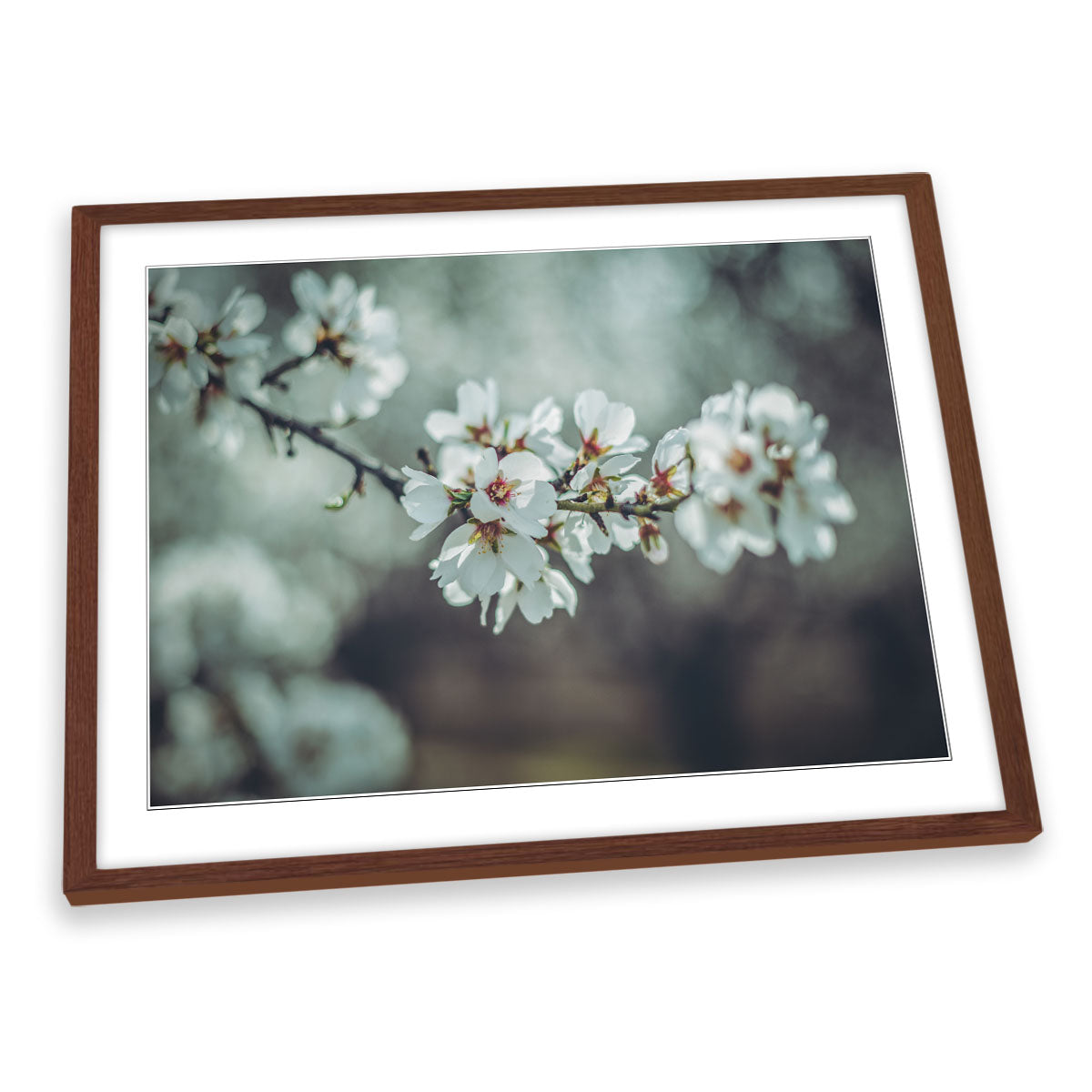 Almond Blossoms Floral Flowers Spring FRAMED ART PRINT Picture Artwork