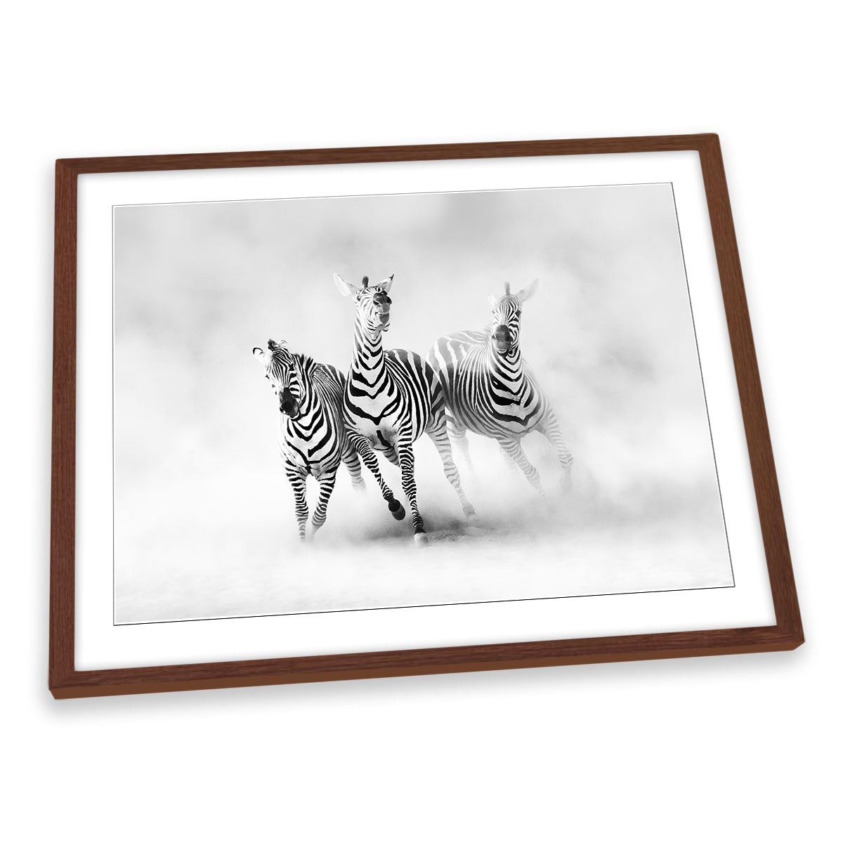 Zebras Dust Wildlife FRAMED ART PRINT Picture Artwork