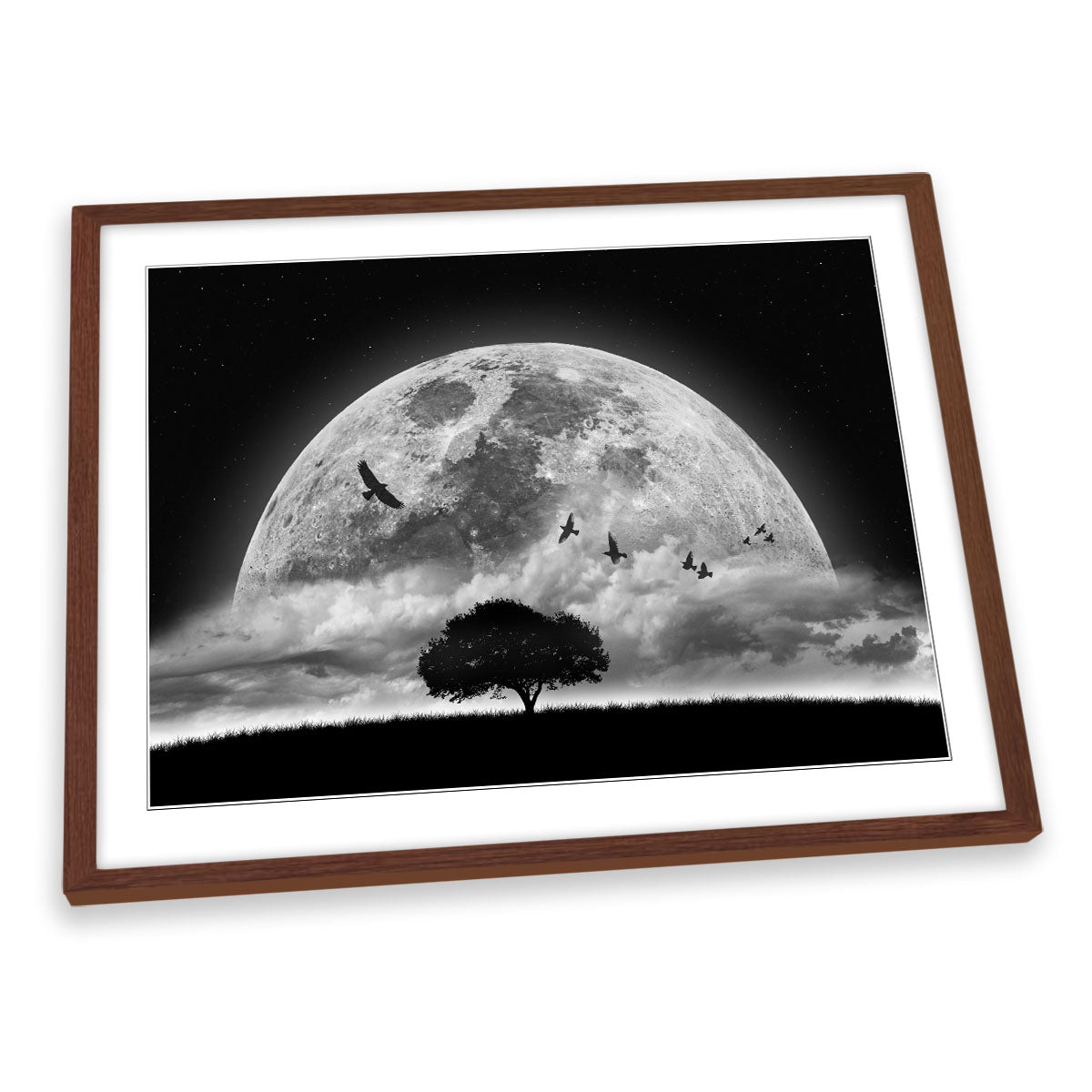 A Dream Moon Birds Fantasy FRAMED ART PRINT Picture Artwork