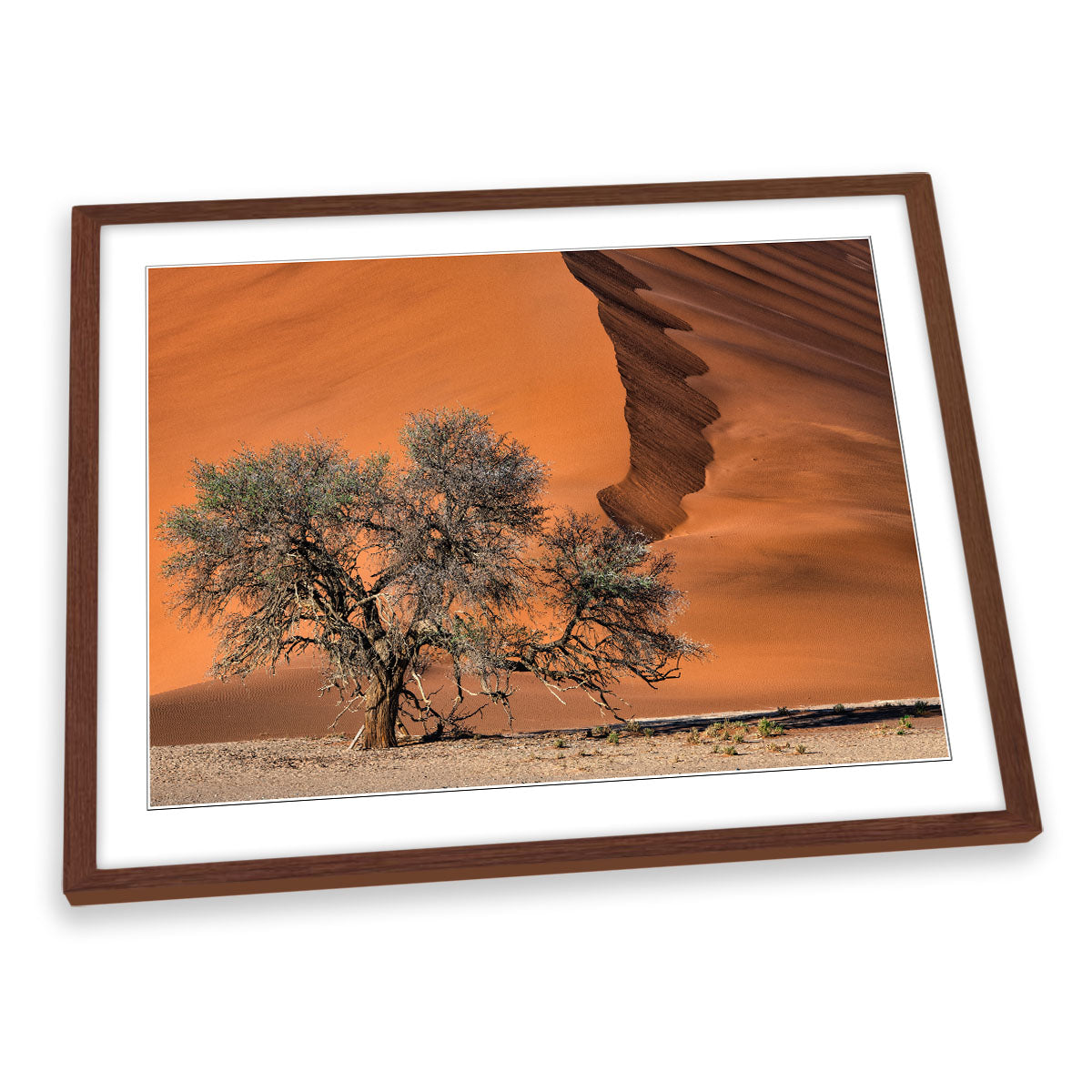 Acacia Tree in the Desert Sand Dune FRAMED ART PRINT Picture Artwork