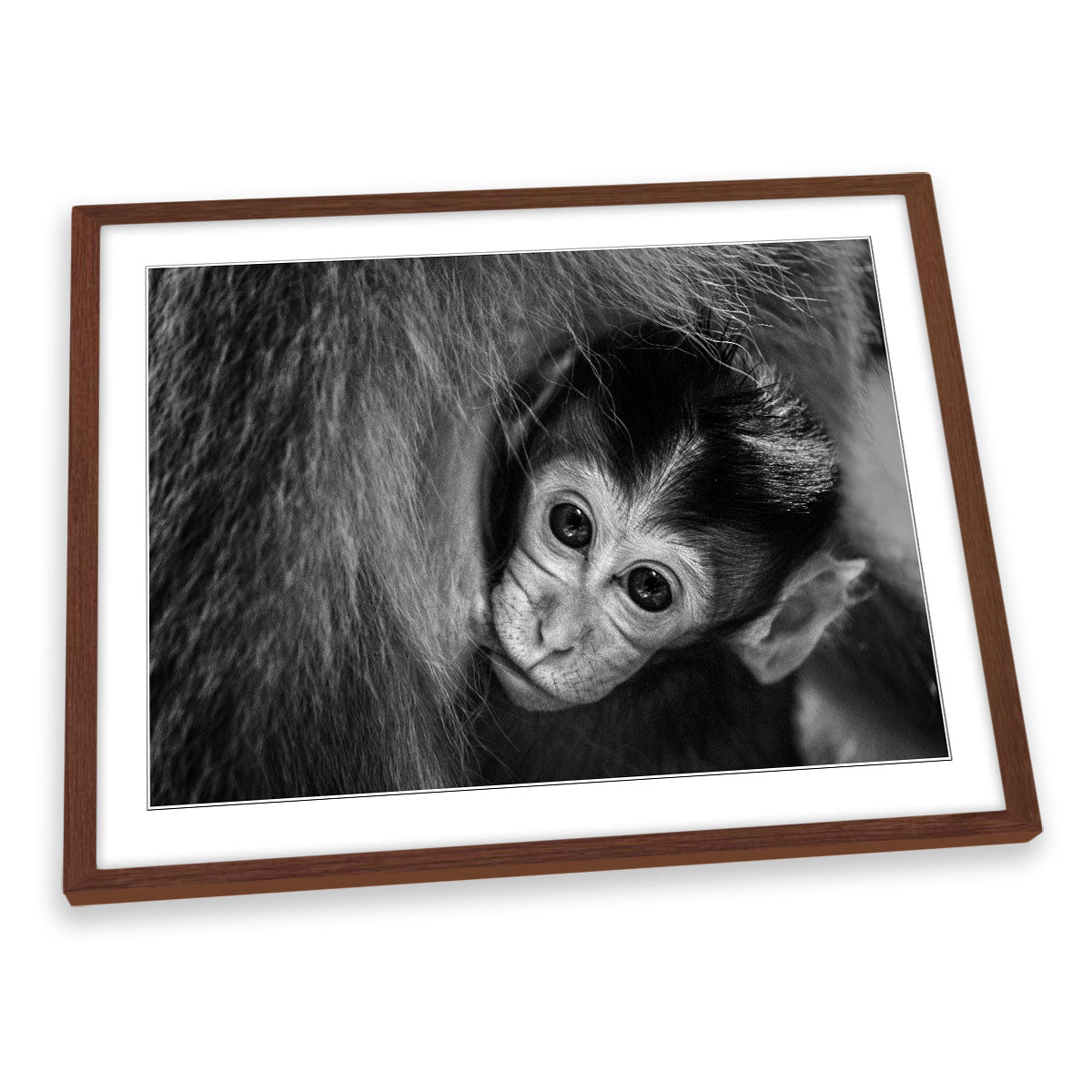 A Mother's Love Monkey FRAMED ART PRINT Picture Artwork