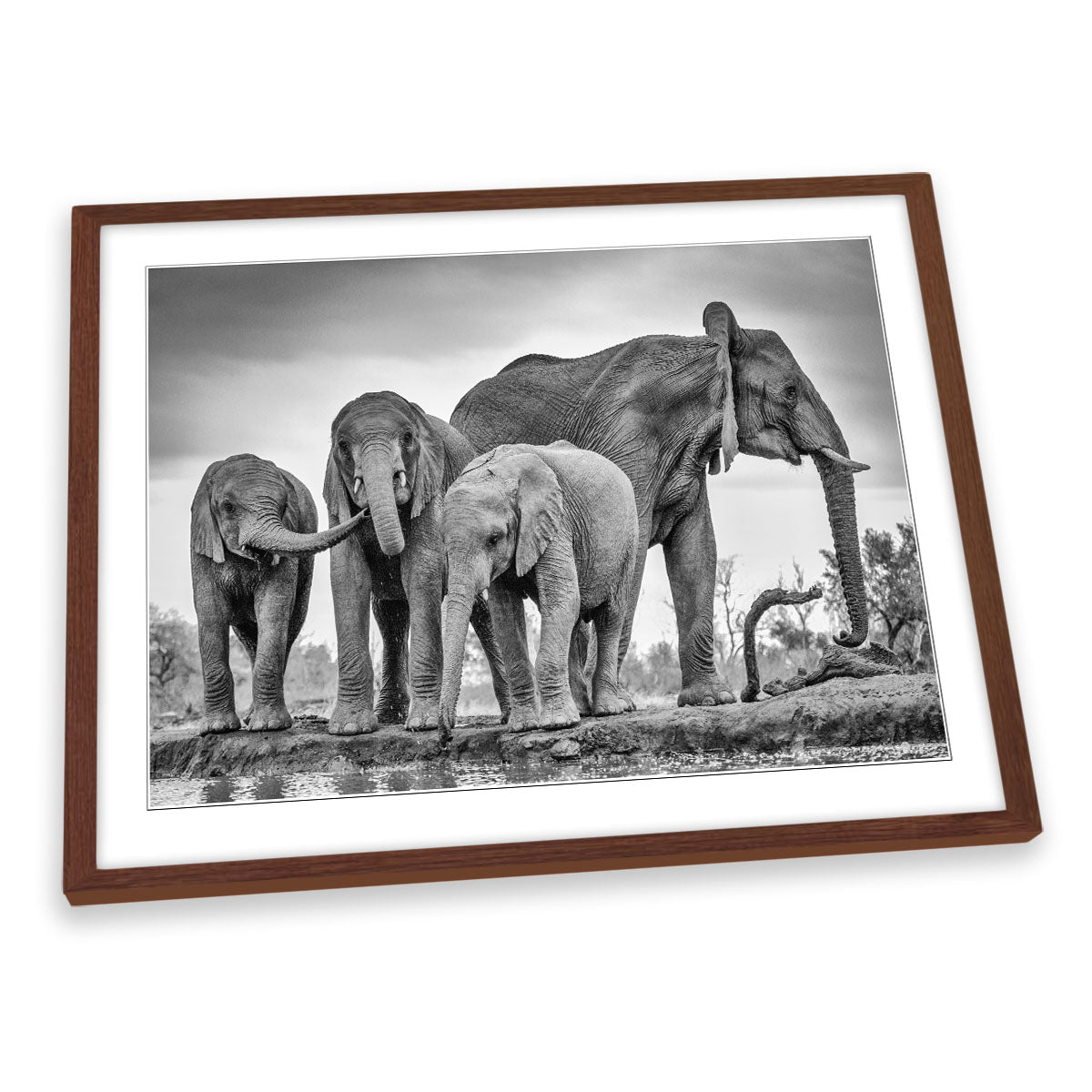 A Giant Unity Elephant Family FRAMED ART PRINT Picture Artwork