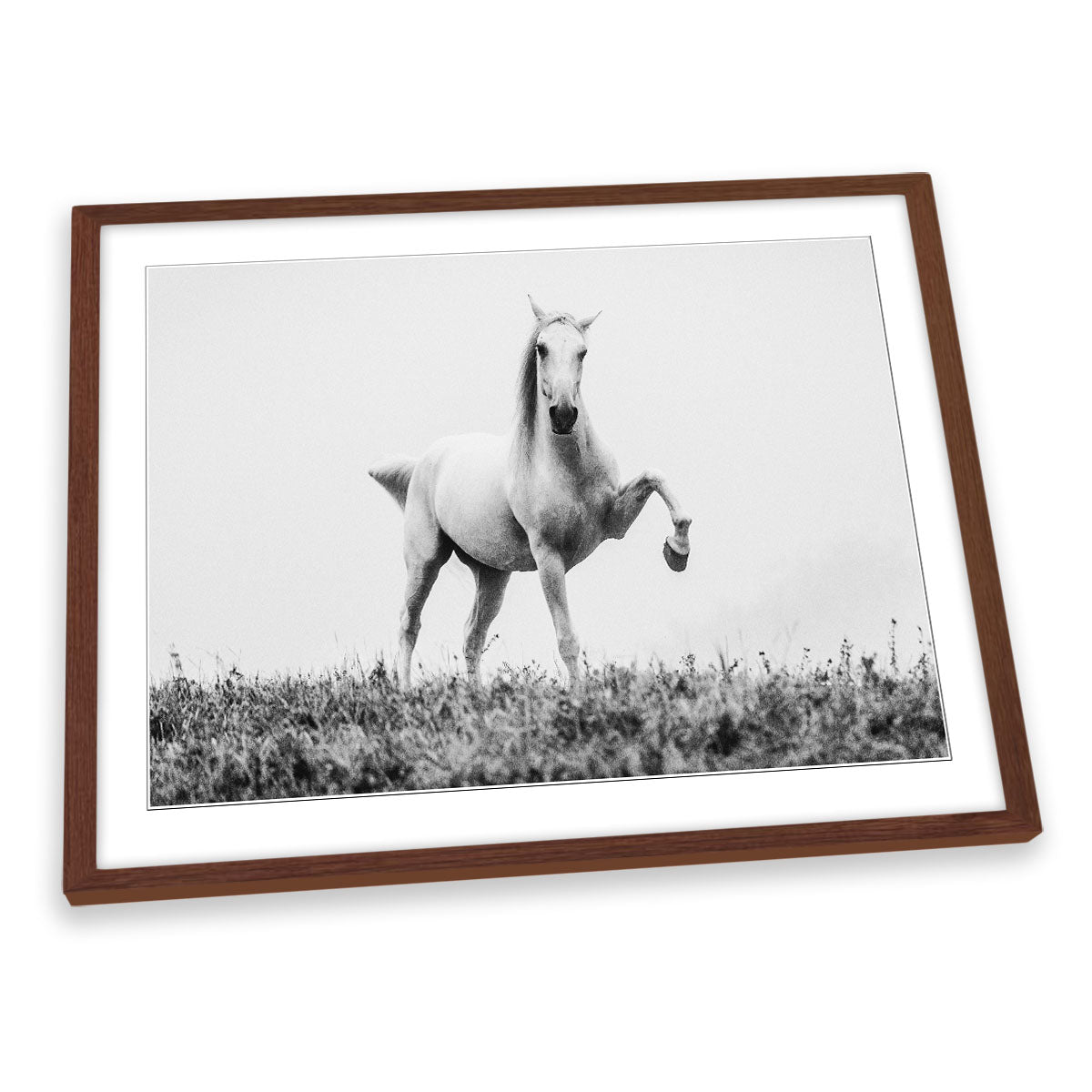 A Short Story about a White Beautiful Horse FRAMED ART PRINT Picture Artwork