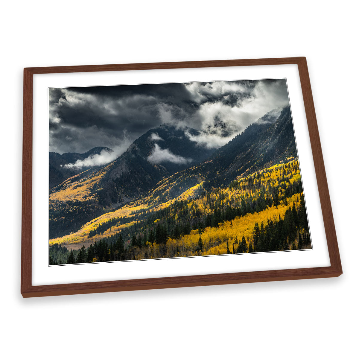 Yellow Trees Forest on the Mountain FRAMED ART PRINT Picture Artwork