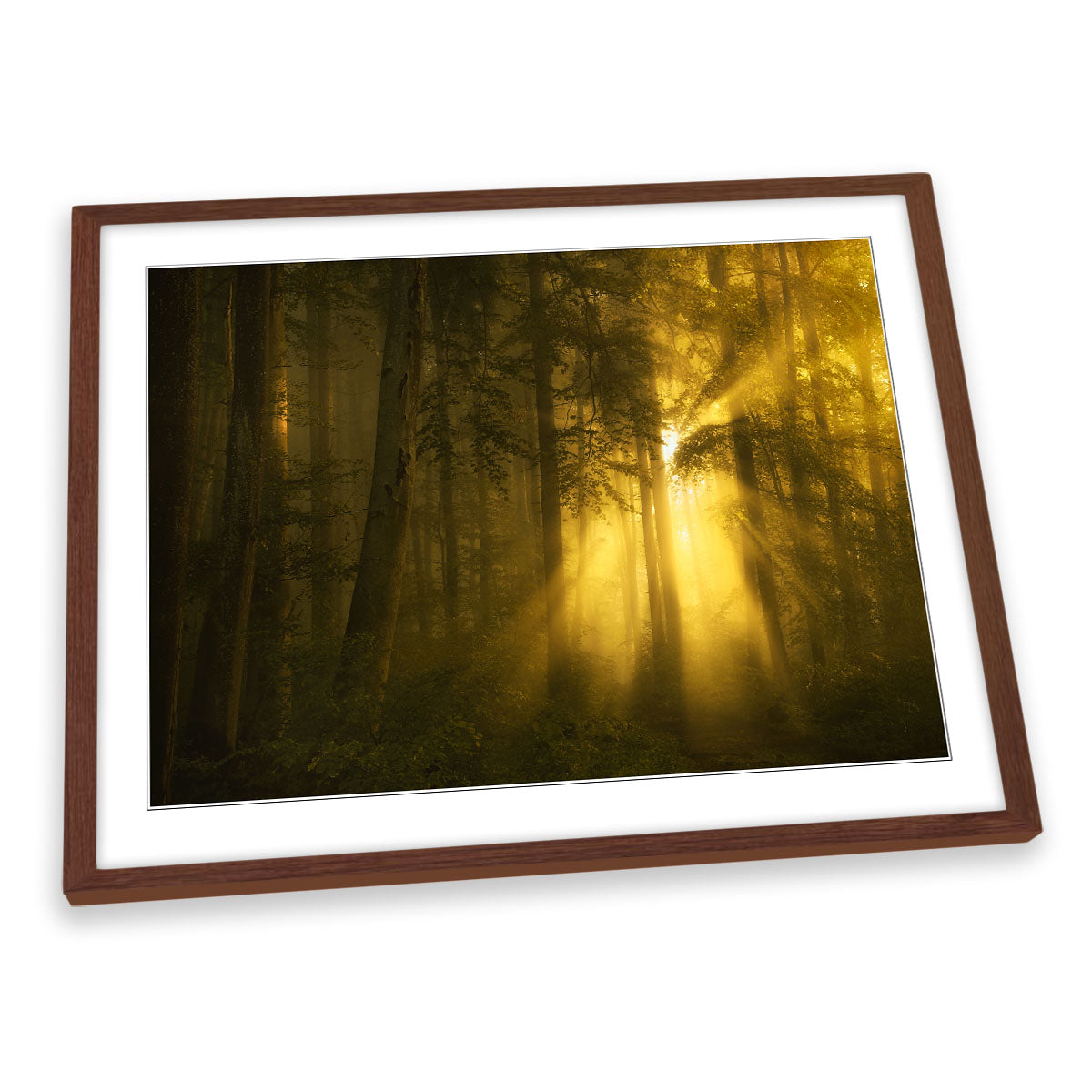 Yellow Morning Sunrise Forest FRAMED ART PRINT Picture Artwork