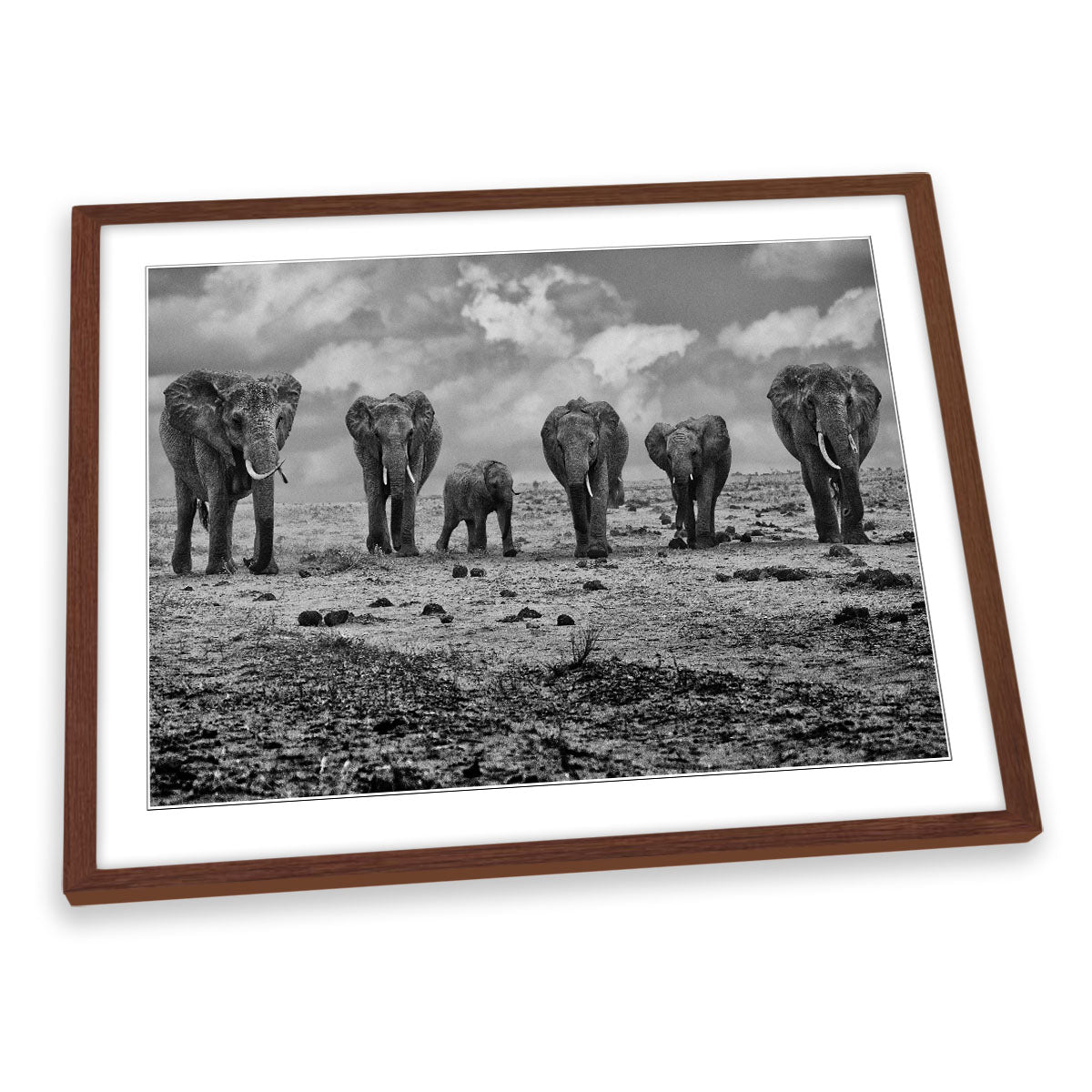 Big Family Elephants FRAMED ART PRINT Picture Artwork