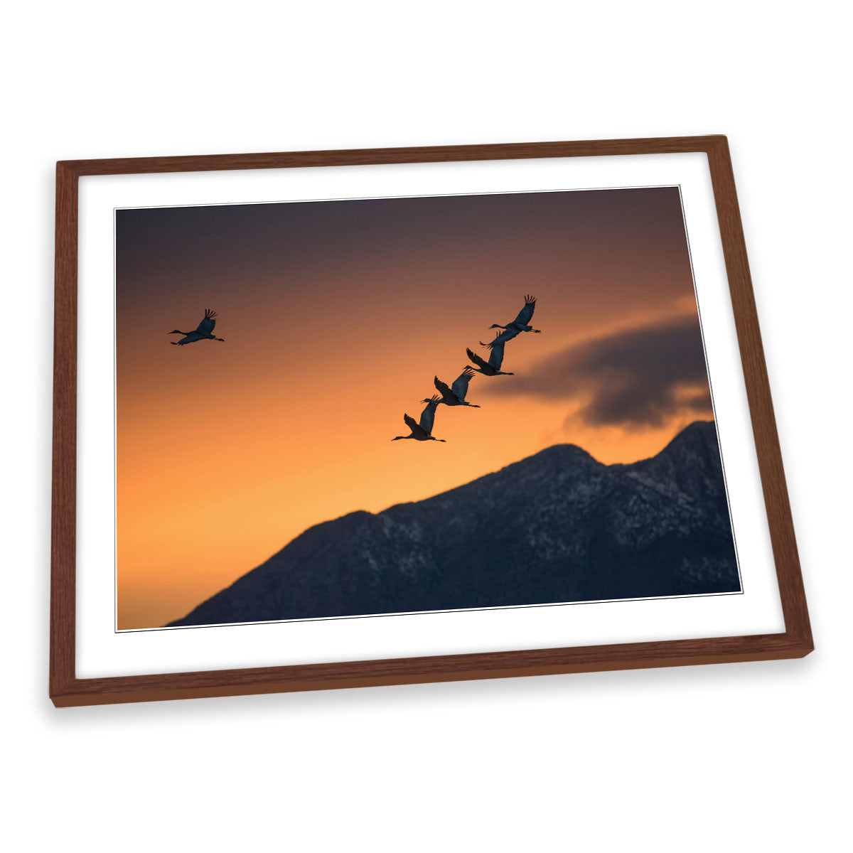 Above the Snowy Mountains Birds Orange FRAMED ART PRINT Picture Artwork