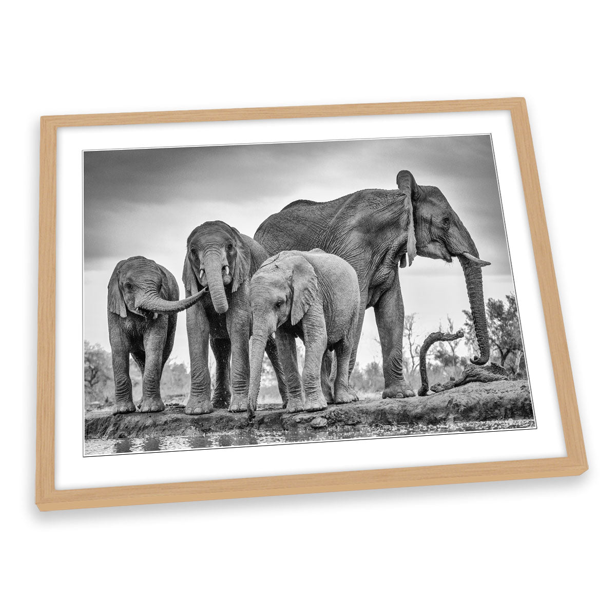 A Giant Unity Elephant Family FRAMED ART PRINT Picture Artwork