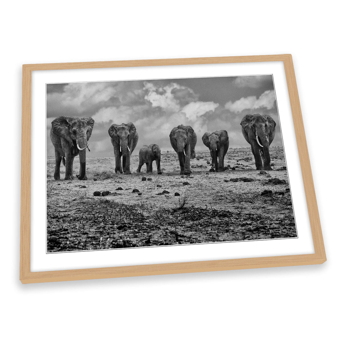 Big Family Elephants FRAMED ART PRINT Picture Artwork