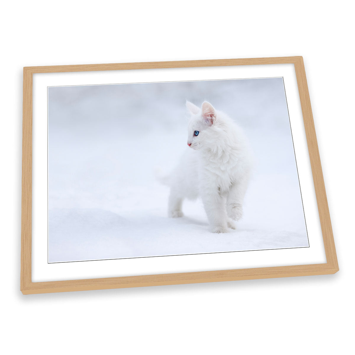 White as Snow Cat FRAMED ART PRINT Picture Artwork