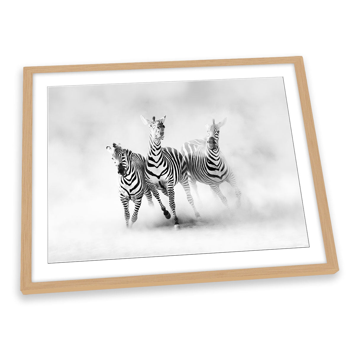 Zebras Dust Wildlife FRAMED ART PRINT Picture Artwork