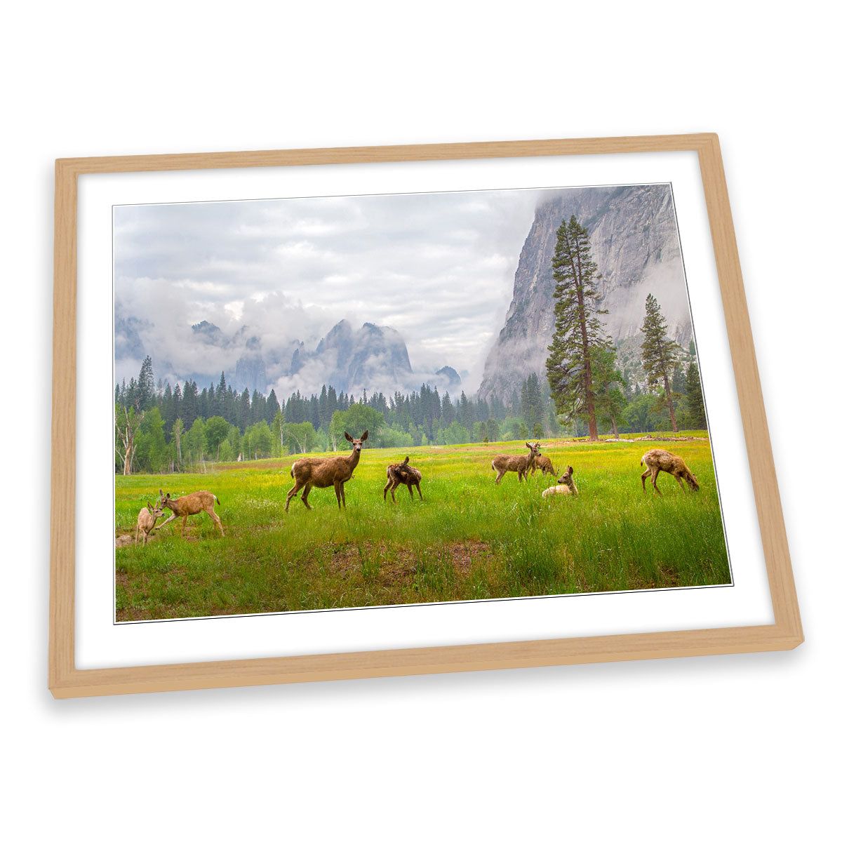 A Feeling of Ancient Time Deer Wildlife FRAMED ART PRINT Picture Artwork
