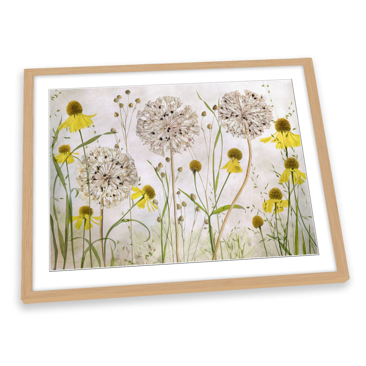 Alliums and Heleniums Floral Flowers FRAMED ART PRINT Picture Artwork