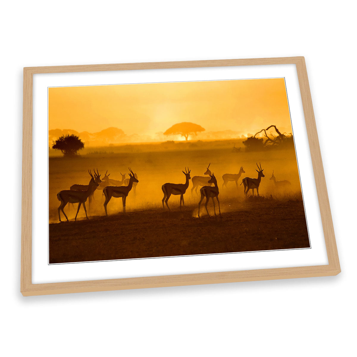 African Wildlife Sunset Nature Orange FRAMED ART PRINT Picture Artwork