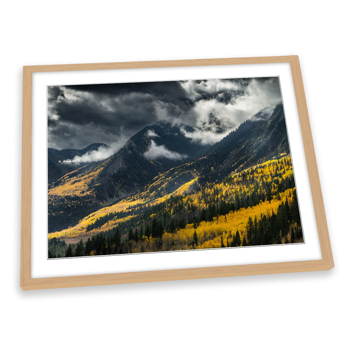 Yellow Trees Forest on the Mountain FRAMED ART PRINT Picture Artwork