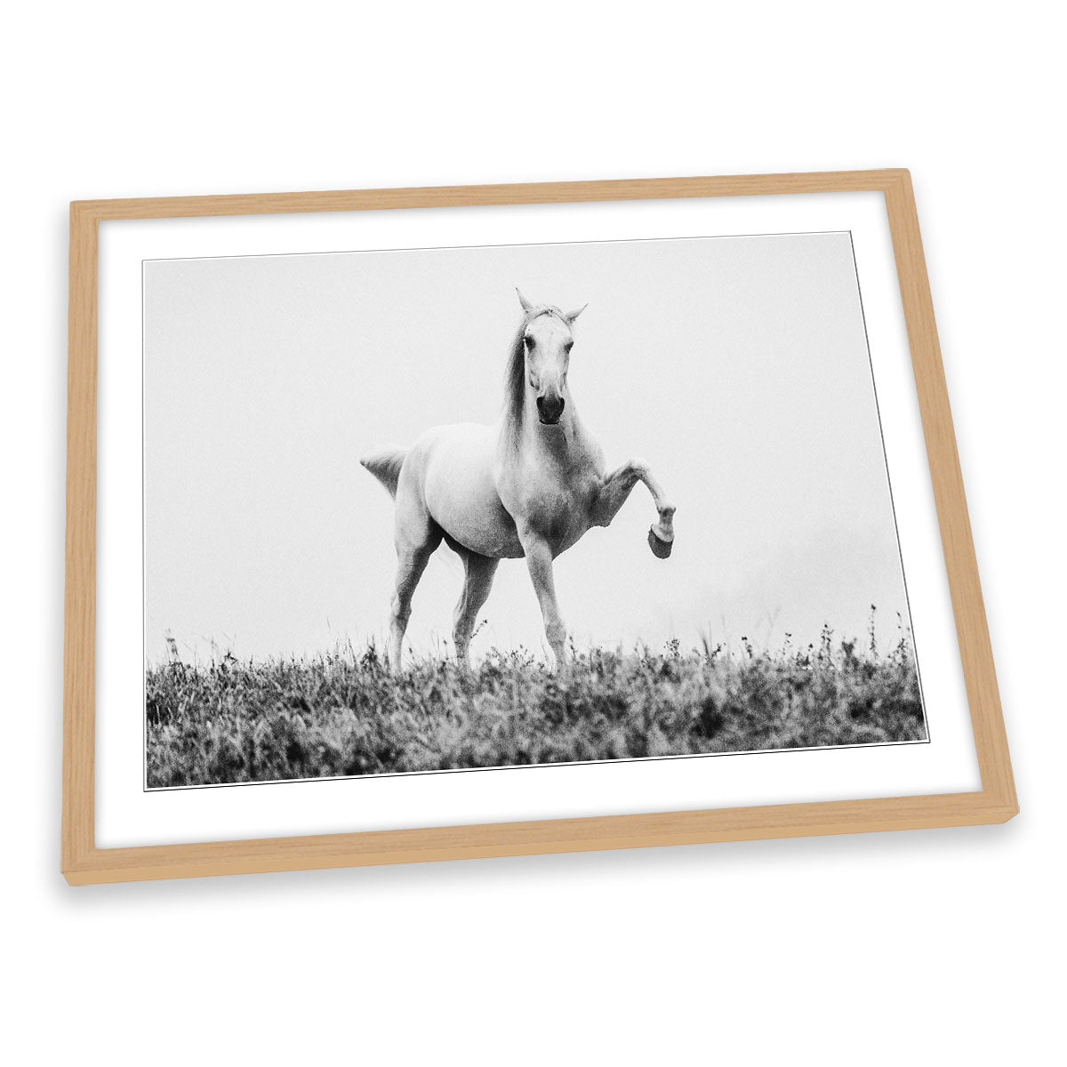 A Short Story about a White Beautiful Horse FRAMED ART PRINT Picture Artwork