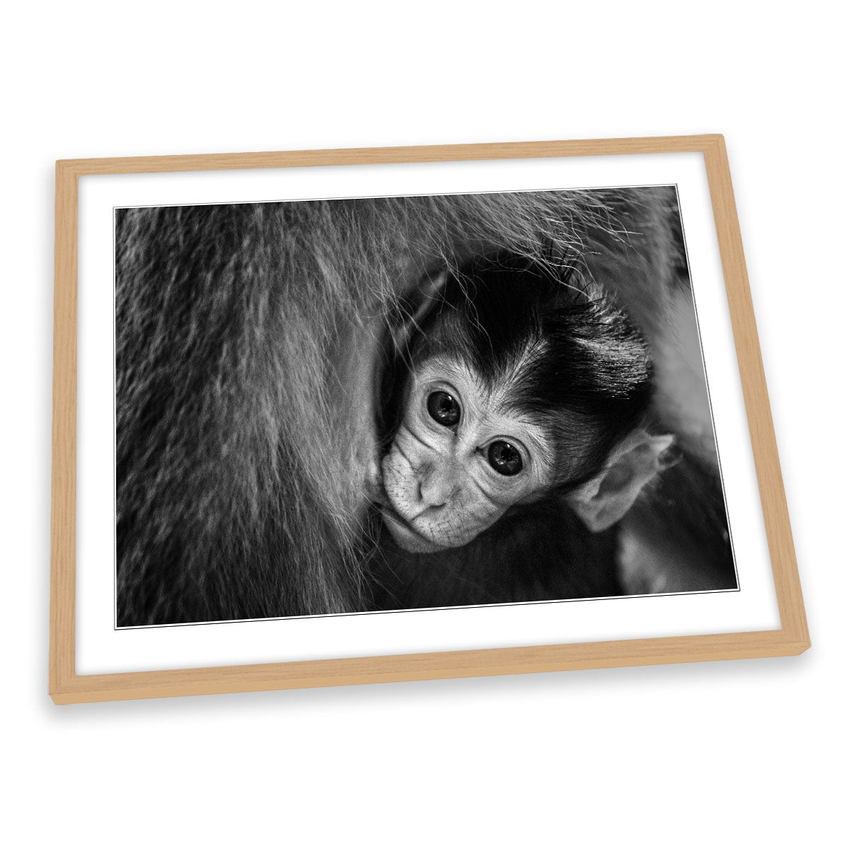 A Mother's Love Monkey FRAMED ART PRINT Picture Artwork