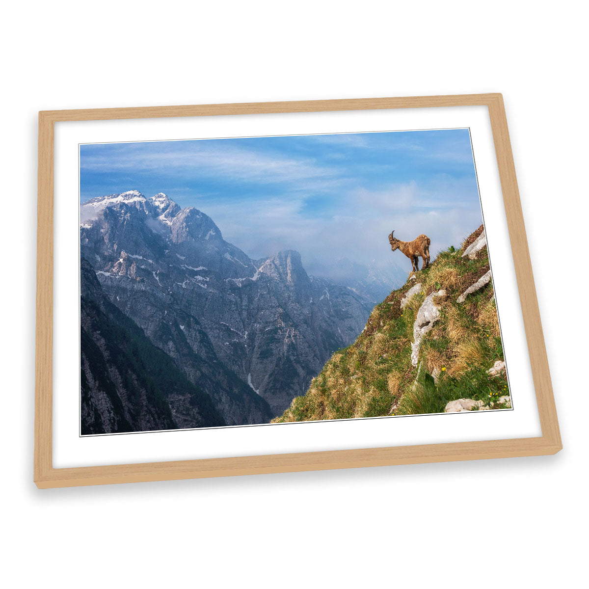 Alpine Ibex in the Mountains Goat FRAMED ART PRINT Picture Artwork