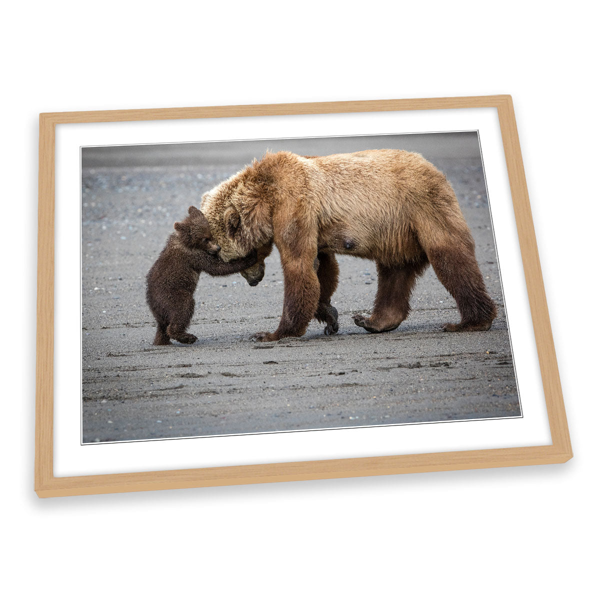 A Little Bear Hug Family Love FRAMED ART PRINT Picture Artwork