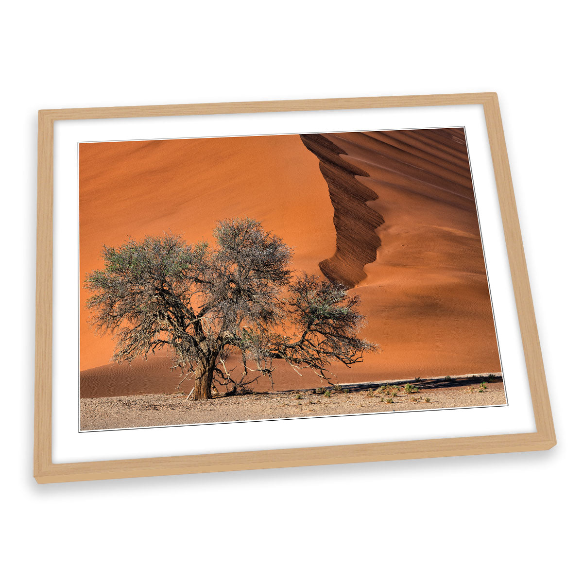 Acacia Tree in the Desert Sand Dune FRAMED ART PRINT Picture Artwork