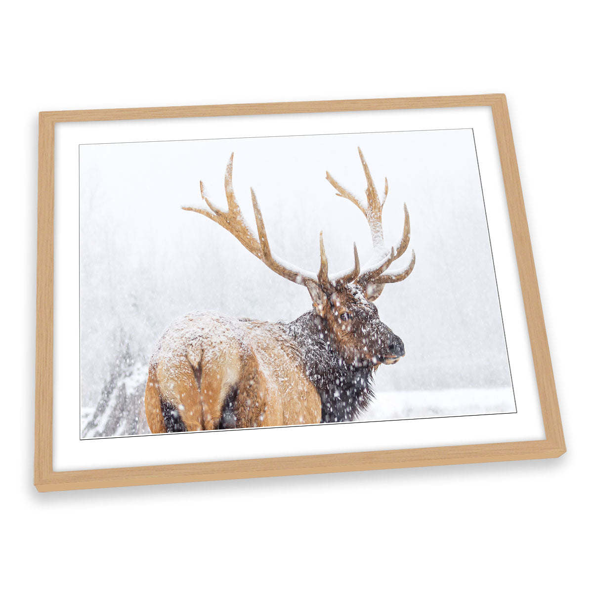 Winter Stag Deer Snow FRAMED ART PRINT Picture Artwork