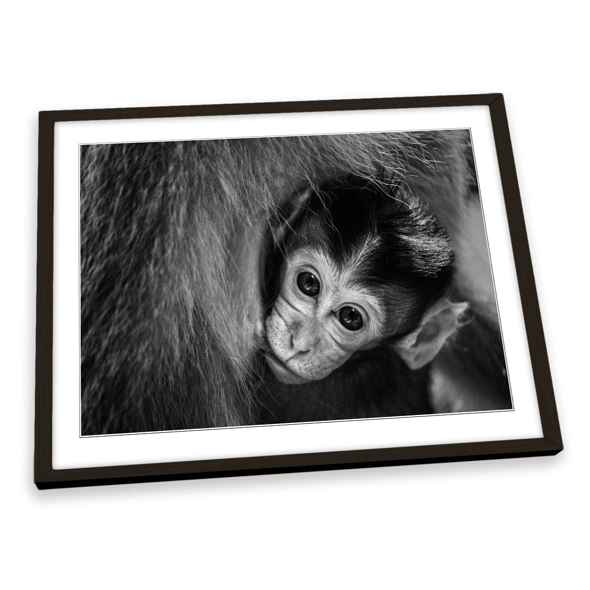 A Mother's Love Monkey FRAMED ART PRINT Picture Artwork