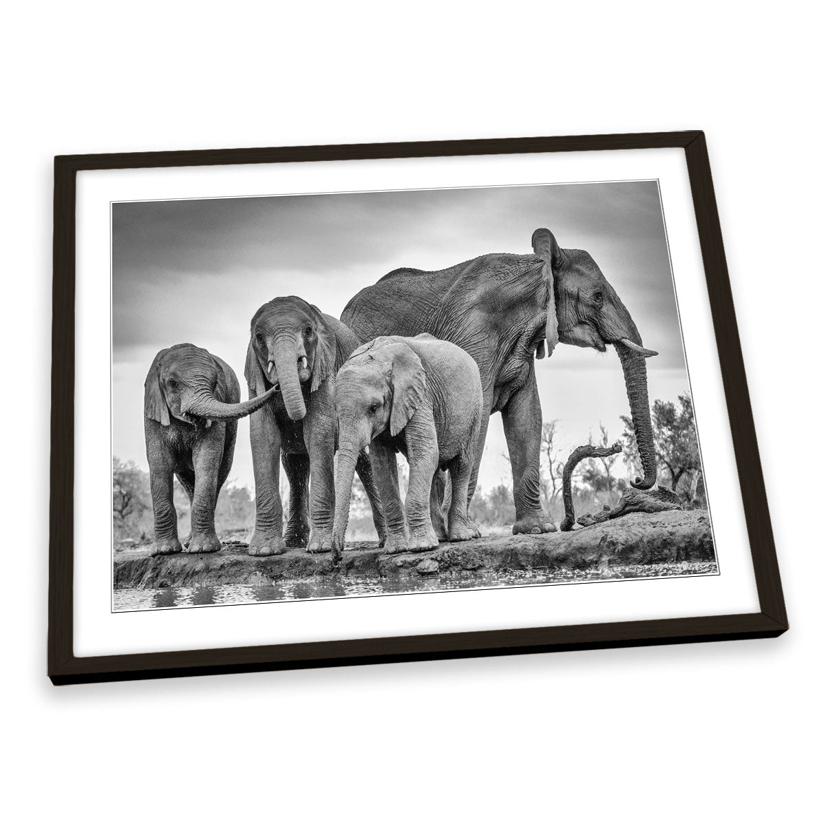 A Giant Unity Elephant Family FRAMED ART PRINT Picture Artwork
