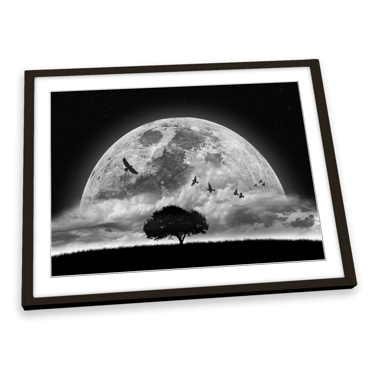 A Dream Moon Birds Fantasy FRAMED ART PRINT Picture Artwork