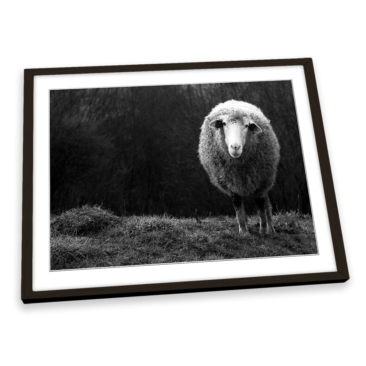 Wondering Sheep Farm FRAMED ART PRINT Picture Artwork