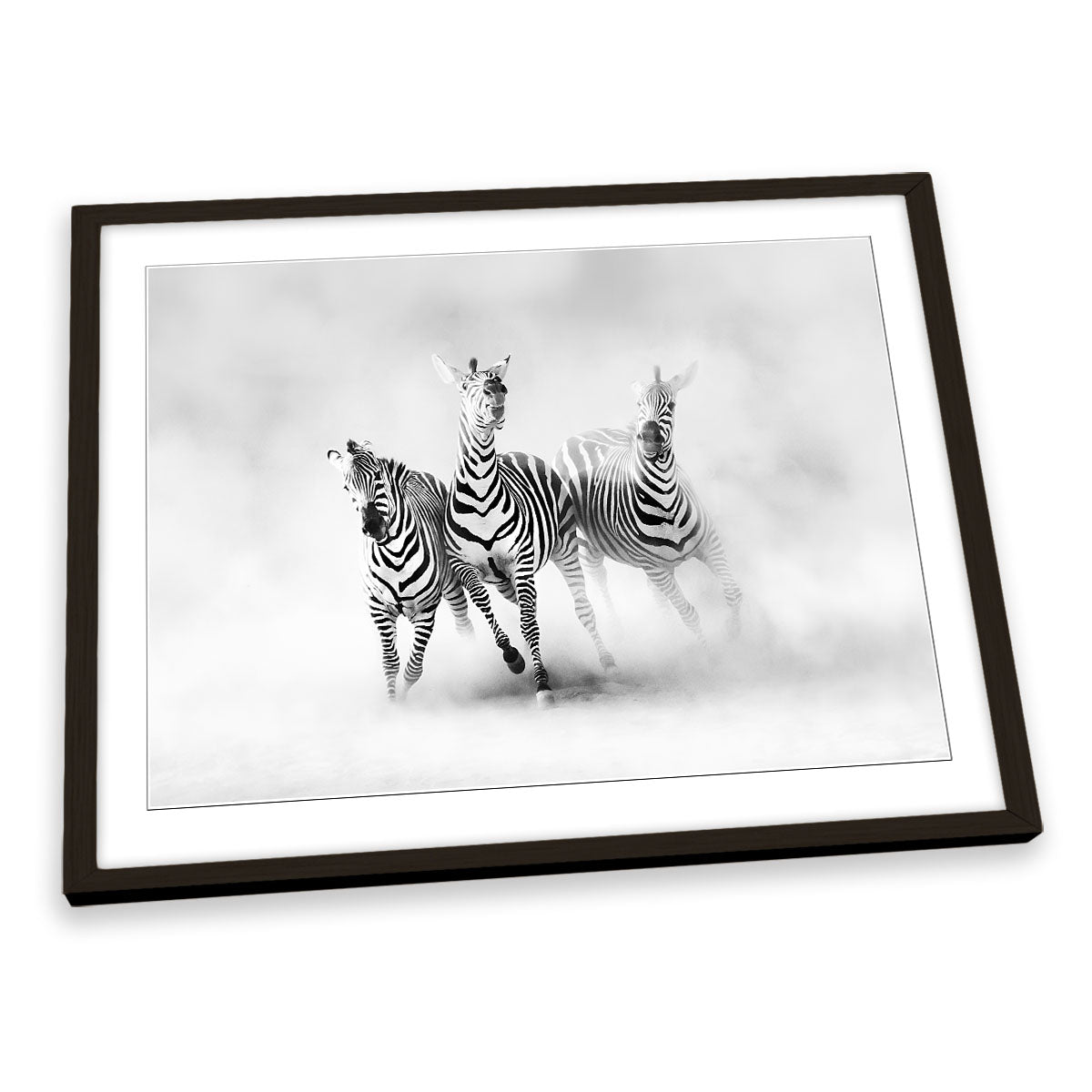 Zebras Dust Wildlife FRAMED ART PRINT Picture Artwork