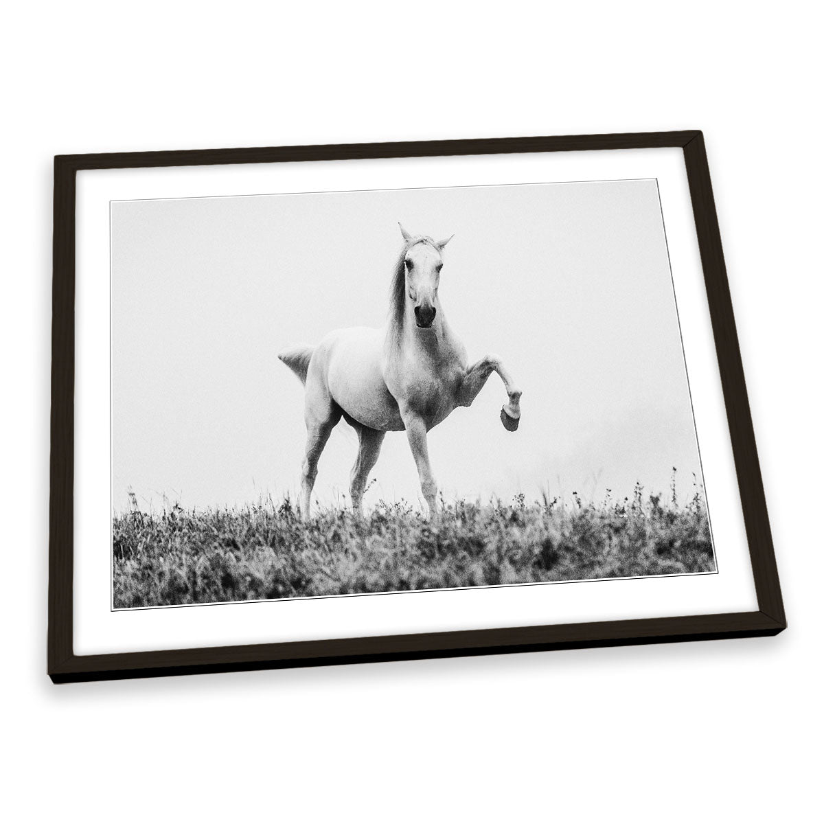 A Short Story about a White Beautiful Horse FRAMED ART PRINT Picture Artwork