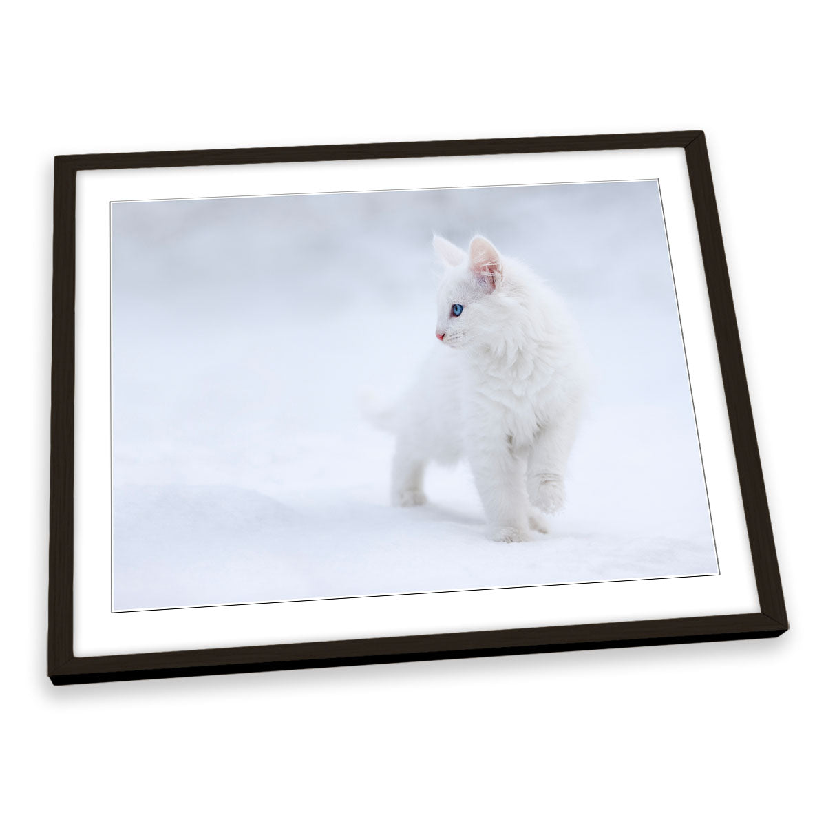 White as Snow Cat FRAMED ART PRINT Picture Artwork