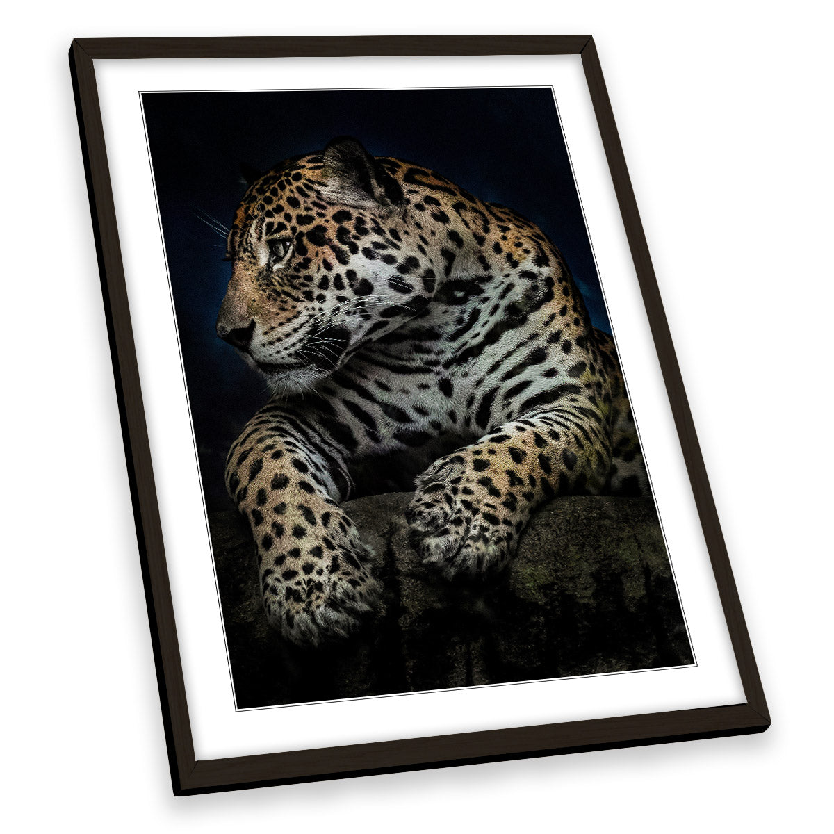 A Moment After Dinner Leopard Wildlife FRAMED ART PRINT Picture Portrait Artwork