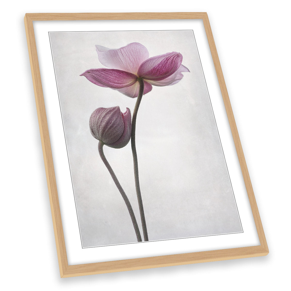 A Little Touch Pink Flower Floral FRAMED ART PRINT Picture Portrait Artwork