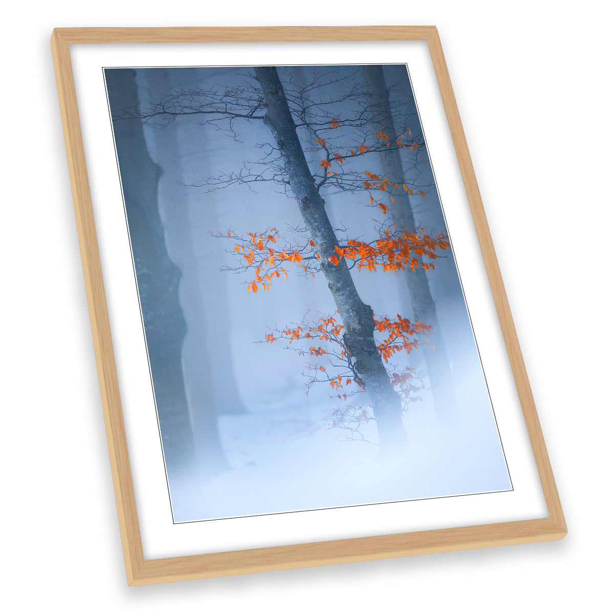 Winter Forest Misty Orange Leaves Floral FRAMED ART PRINT Picture Portrait Artwork