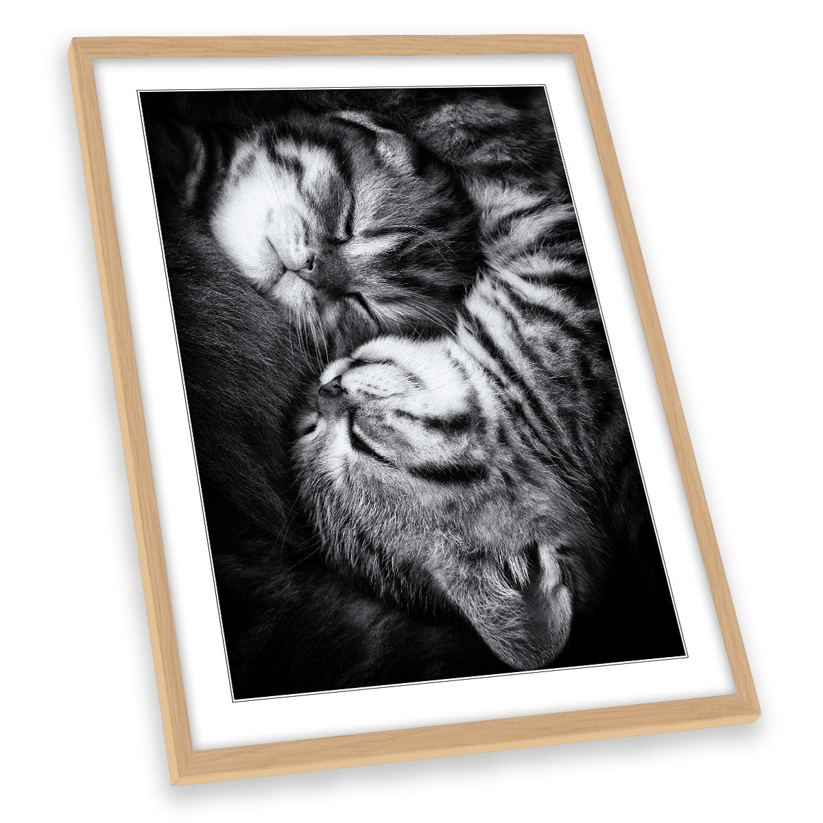 Yin and Yang Cute Sleeping Cats Kitten Family FRAMED ART PRINT Picture Portrait Artwork