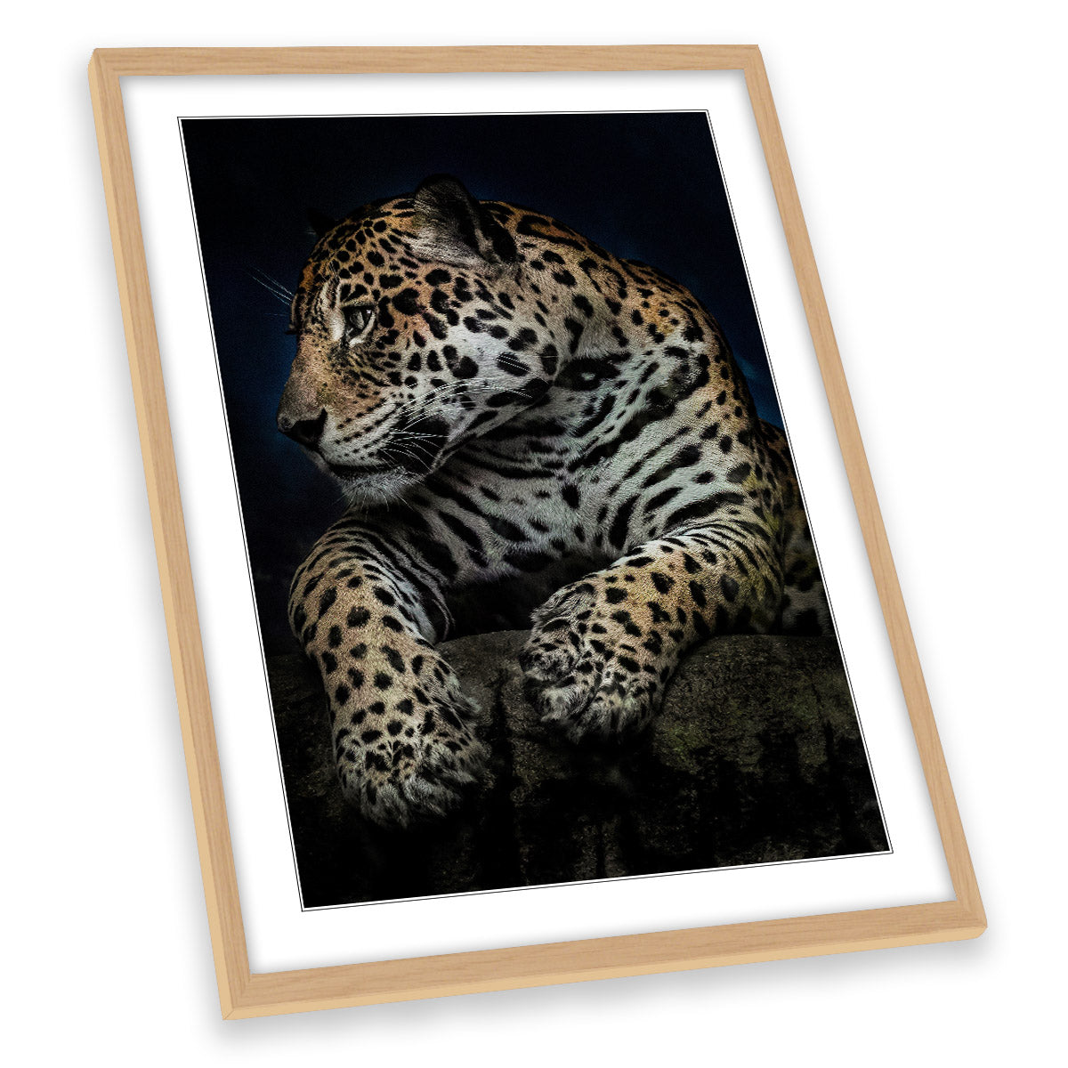 A Moment After Dinner Leopard Wildlife FRAMED ART PRINT Picture Portrait Artwork