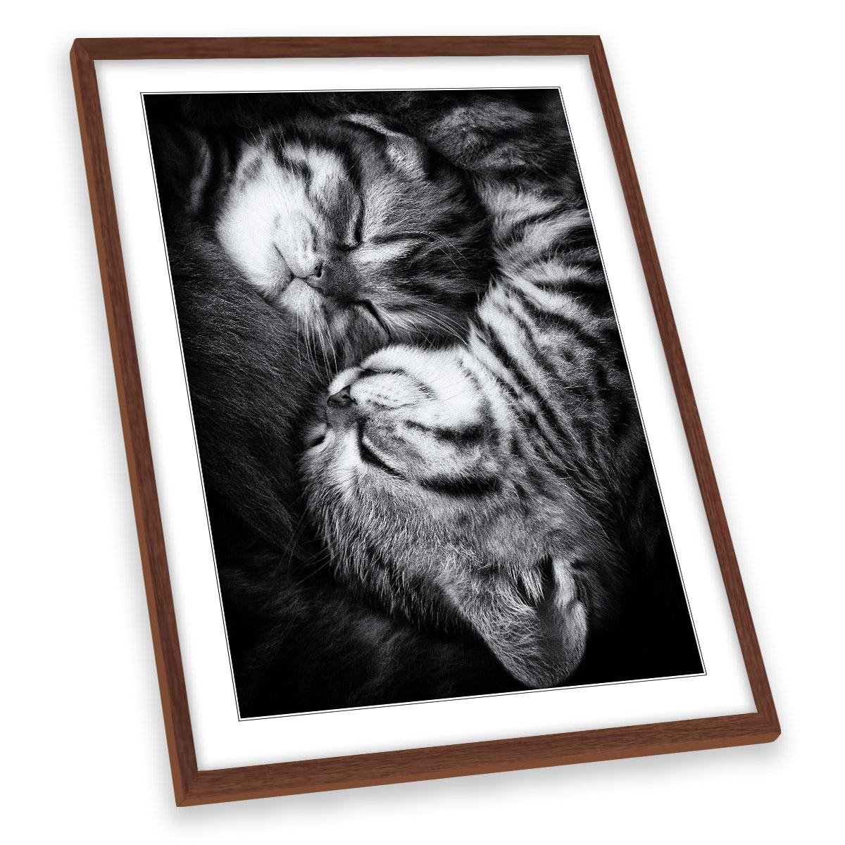 Yin and Yang Cute Sleeping Cats Kitten Family FRAMED ART PRINT Picture Portrait Artwork
