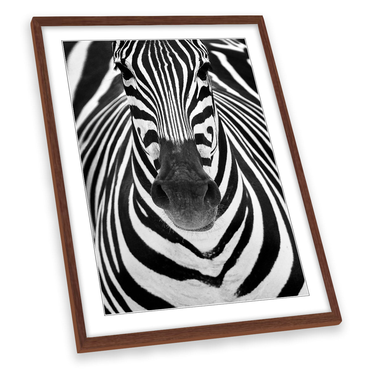 Zebra Stripes Animal Black and White FRAMED ART PRINT Picture Portrait Artwork