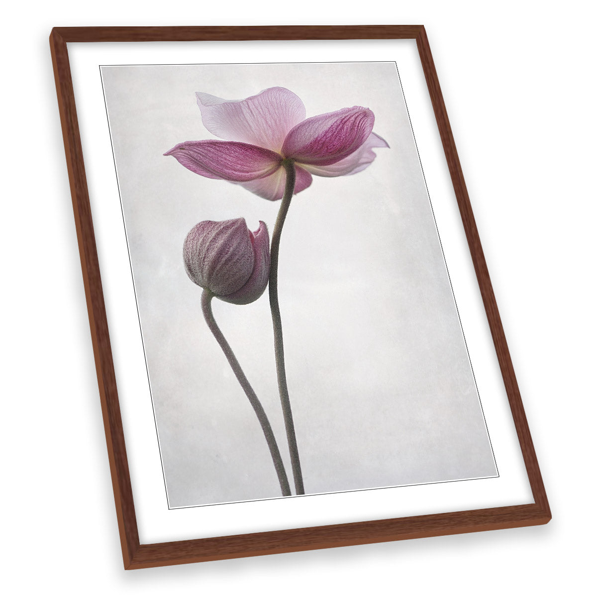 A Little Touch Pink Flower Floral FRAMED ART PRINT Picture Portrait Artwork