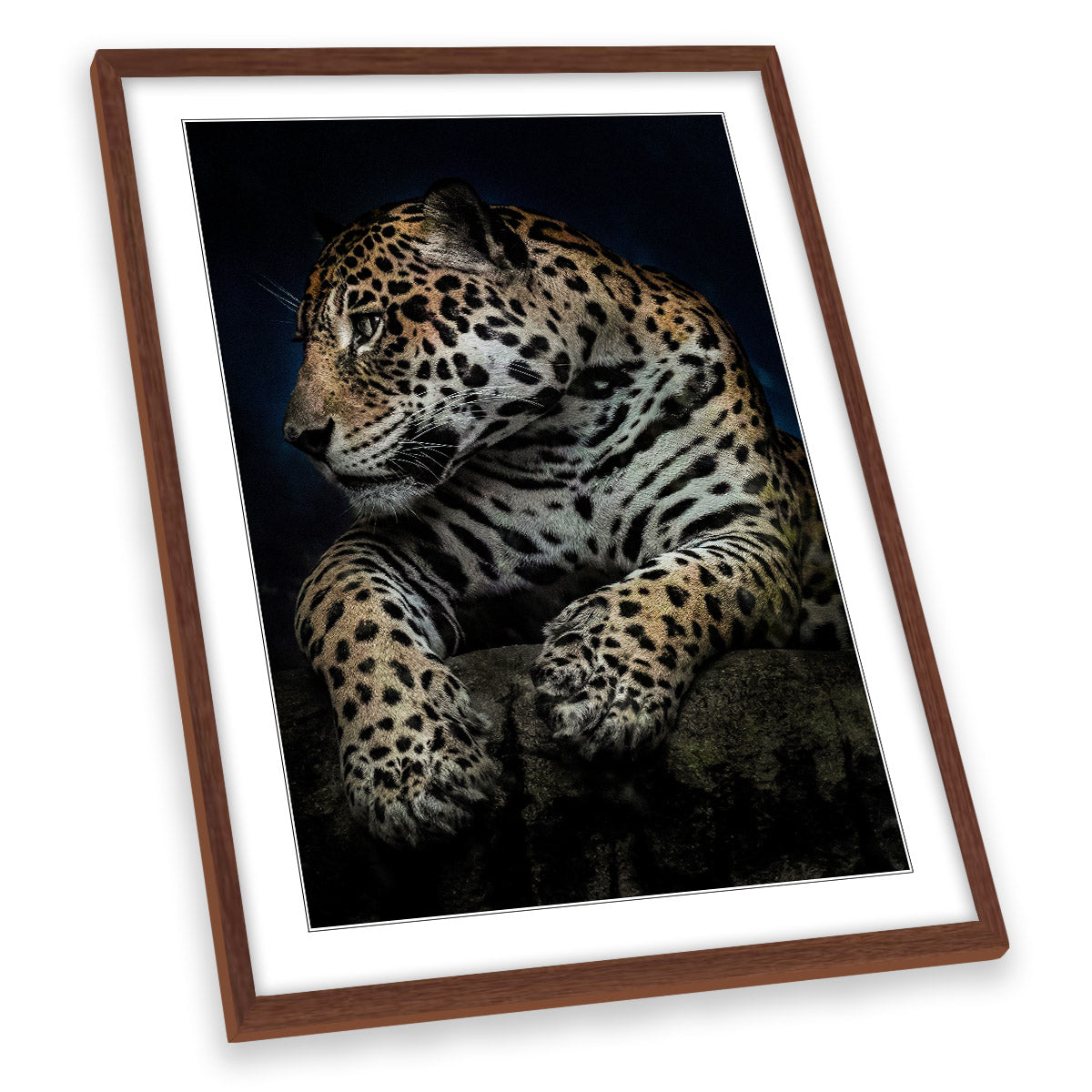 A Moment After Dinner Leopard Wildlife FRAMED ART PRINT Picture Portrait Artwork