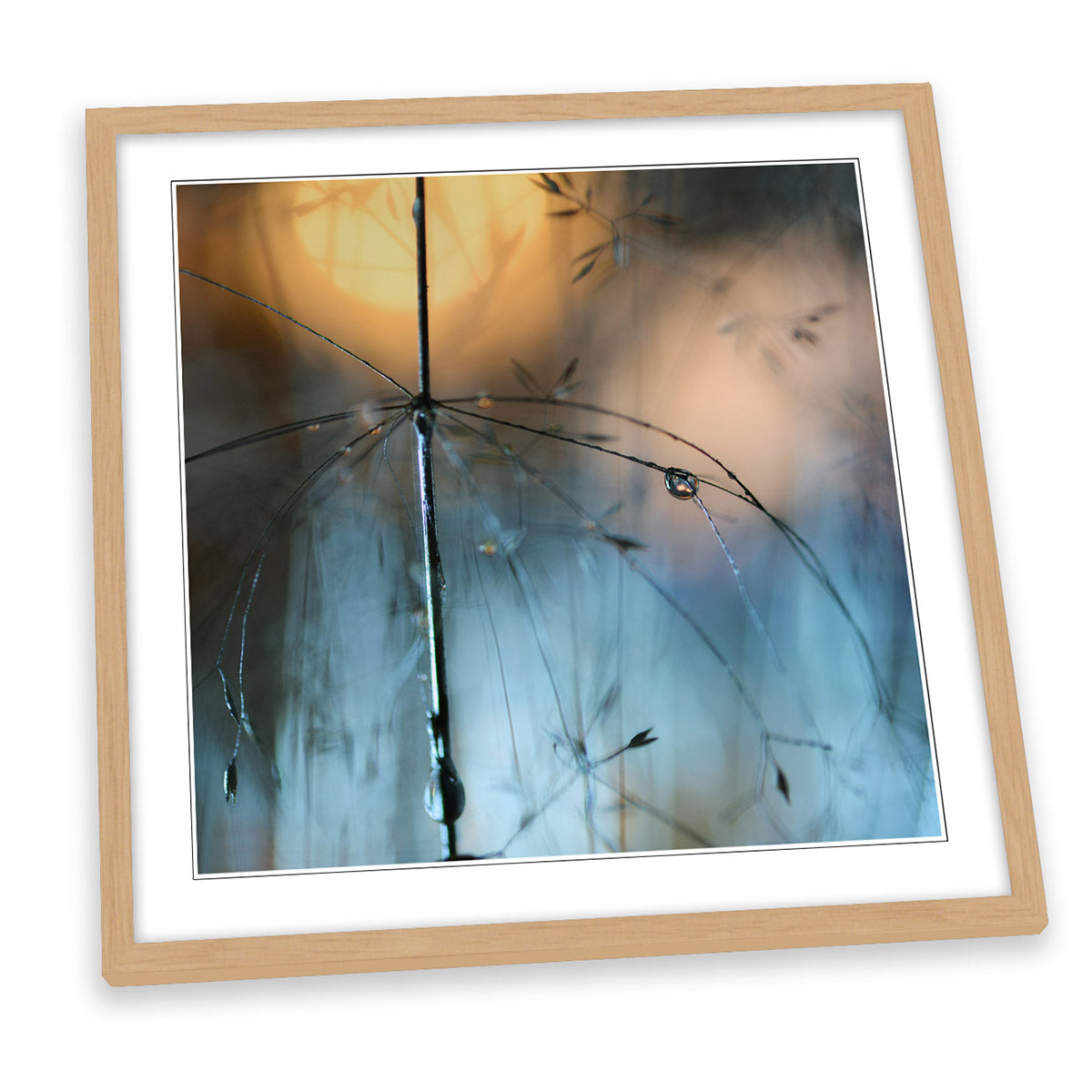 Almost Dark Nature Waterdrop Floral FRAMED ART PRINT Picture Square Artwork