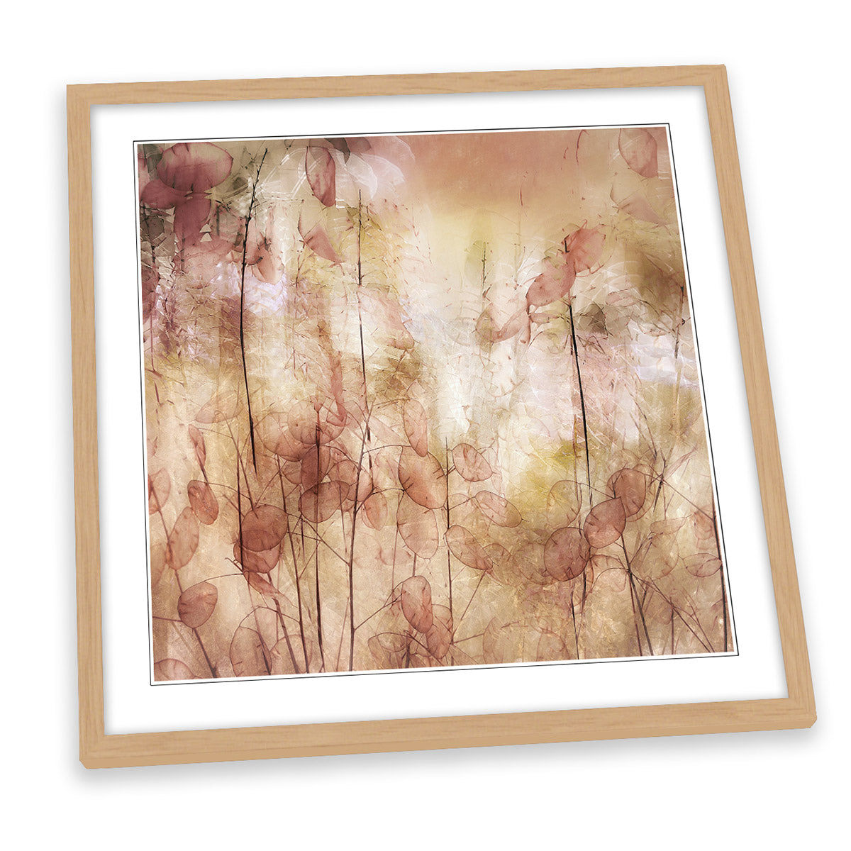 Abstract Floral Seed Pods FRAMED ART PRINT Picture Square Artwork