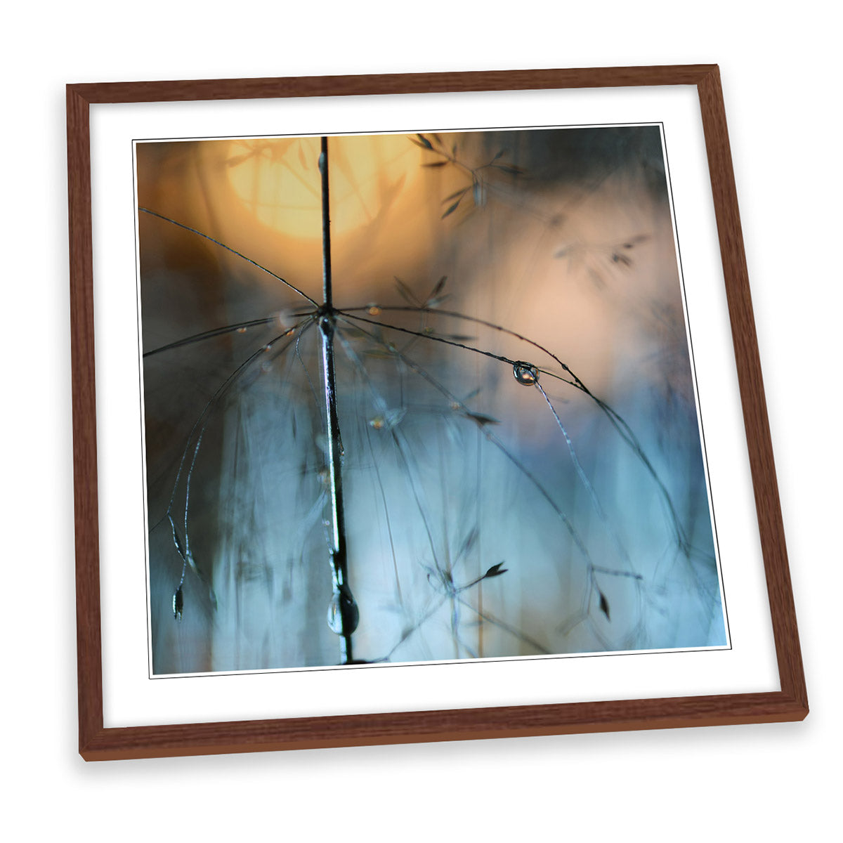 Almost Dark Nature Waterdrop Floral FRAMED ART PRINT Picture Square Artwork